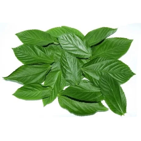 Molokhia (Jute Leaves)